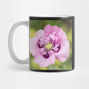 Opium Poppy Mug